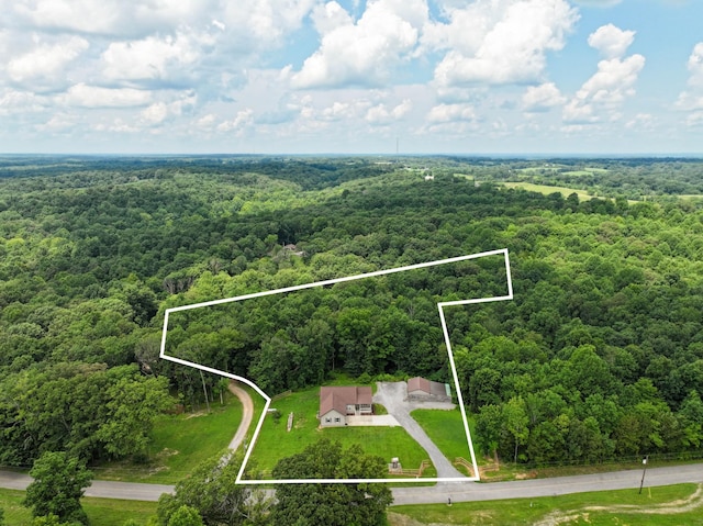 4510 Akin Rd, Cunningham, TN 37052 - aerial view of property's location featuring property parcel outlined