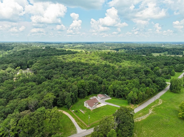 4510 Akin Rd, Cunningham, TN 37052 - bird's eye view of a heavily wooded area