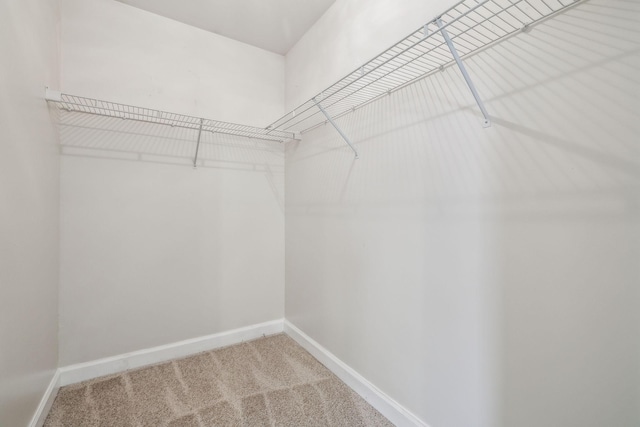 304 Roslyn Ct, Nashville, TN 37221 - photo 41