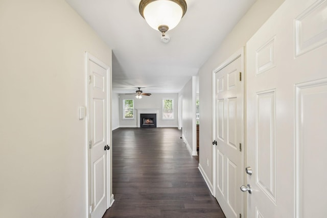 304 Roslyn Ct, Nashville, TN 37221 - photo 7