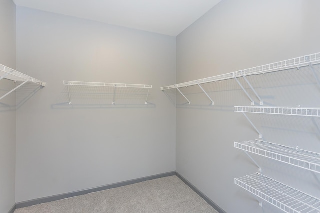 3304 Tucker Trce, Columbia, TN 38401 - photo 41