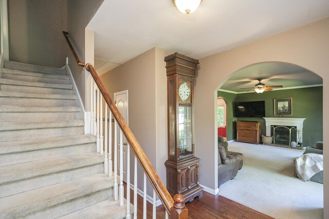 7836 Harpeth View Dr, Nashville, TN 37221 - photo 7