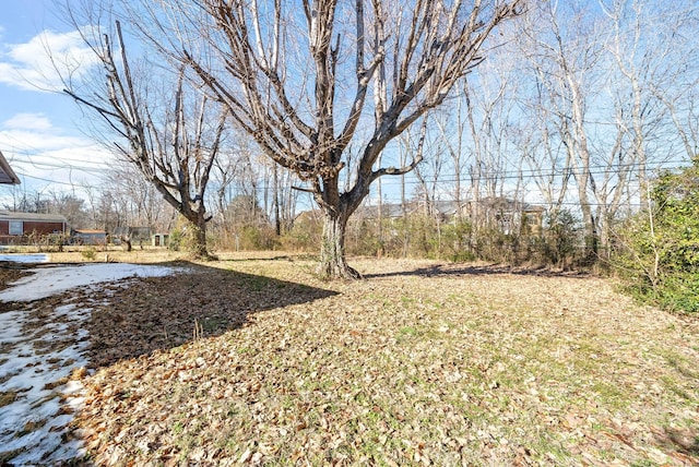 36 Lealand Dr, Clarksville, TN 37042 - view of yard