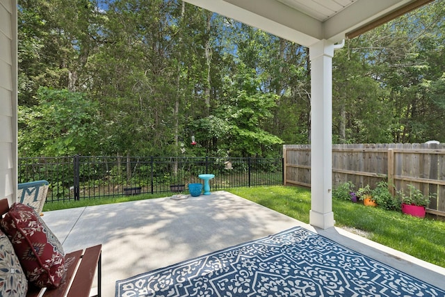 207 Addison Ave, Chapel Hill, TN 37034 - view of patio