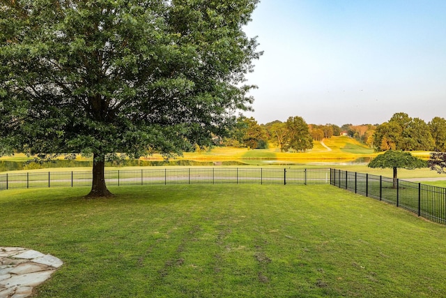 113 Joshuas Run, Goodlettsville, TN 37072 - view of yard