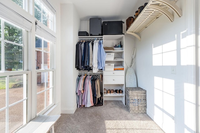 113 Joshuas Run, Goodlettsville, TN 37072 - spacious closet with carpet floors