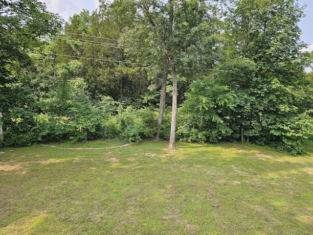 6481 Paddington Way, Antioch, TN 37013 - photo 15