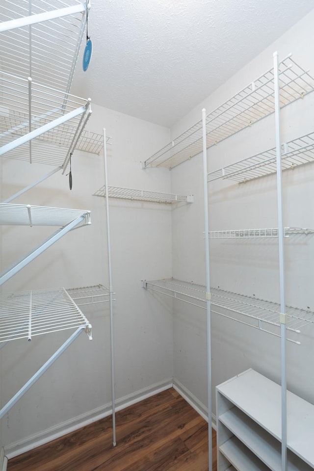 55 Bluebird Ln, Lafayette, TN 37083 - walk in closet with wood finished floors