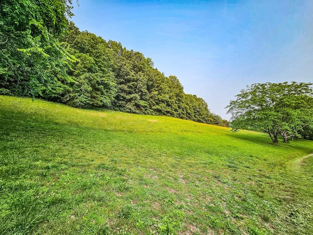 1105 Normandy Rd, Normandy, TN 37360 - view of green lawn