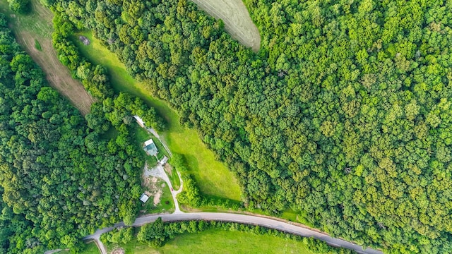 1105 Normandy Rd, Normandy, TN 37360 - aerial overview of property's location