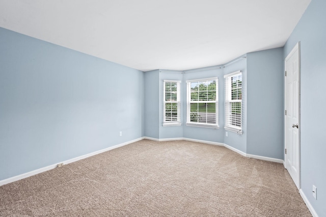 155 Ellington Pl, Madison, TN 37115 - photo 16