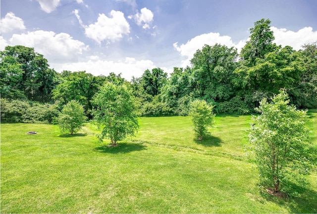 155 Ellington Pl, Madison, TN 37115 - photo 31