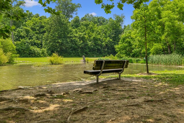257A Riverside Dr, Nashville, TN 37206 - photo 39