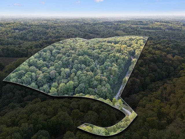 1064 Bills Ln, Joelton, TN 37080 - view of property location featuring a heavily wooded area and property boundaries highlighted