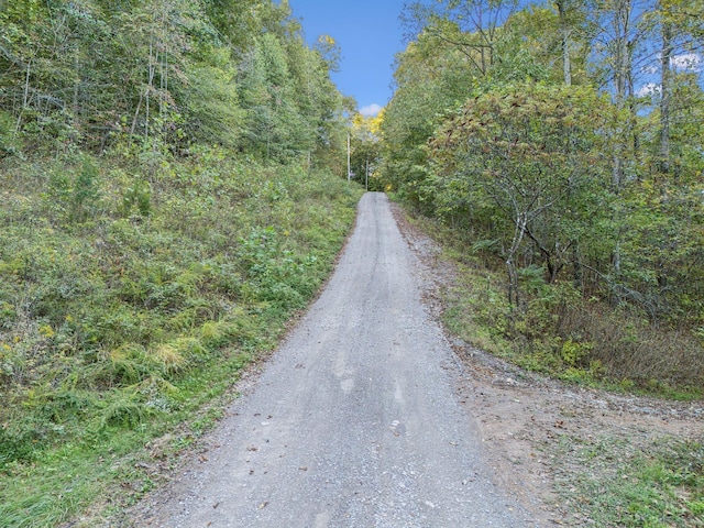 1064 Bills Ln, Joelton, TN 37080 - view of dirt / gravel road with a forest view