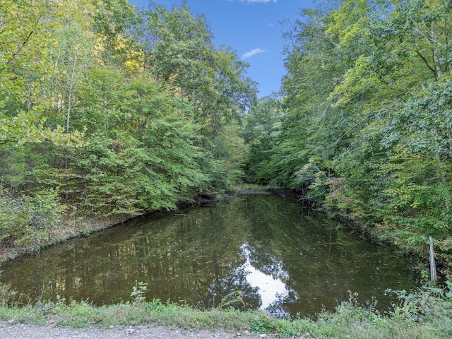 1064 Bills Ln, Joelton, TN 37080 - water view featuring a heavily wooded area