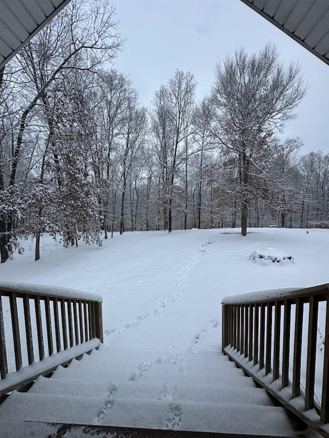 1064 Bills Ln, Joelton, TN 37080 - view of snowy yard