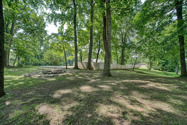 1009 Skyline Dr, Sparta, TN 38583 - photo 18