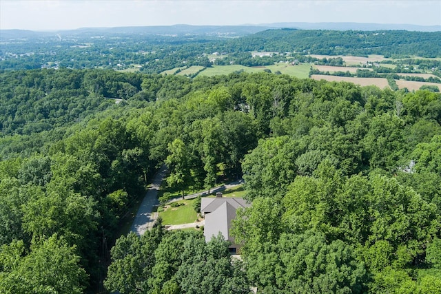 1009 Skyline Dr, Sparta, TN 38583 - photo 62