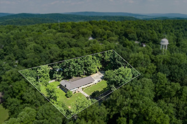 1009 Skyline Dr, Sparta, TN 38583 - photo 19