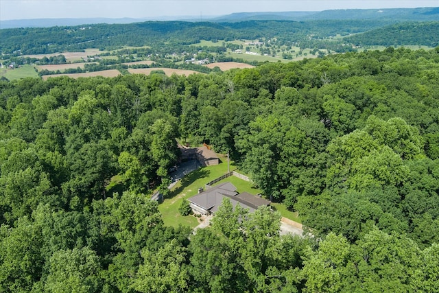 1009 Skyline Dr, Sparta, TN 38583 - photo 60