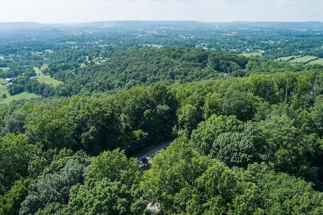 1009 Skyline Dr, Sparta, TN 38583 - photo 65