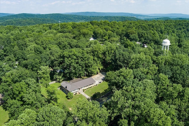 1009 Skyline Dr, Sparta, TN 38583 - photo 61