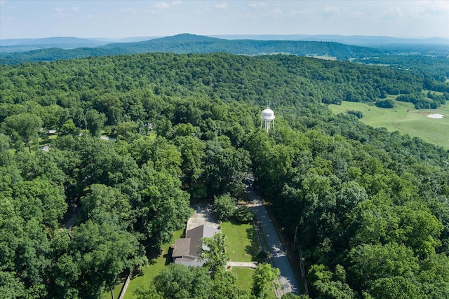 1009 Skyline Dr, Sparta, TN 38583 - photo 63