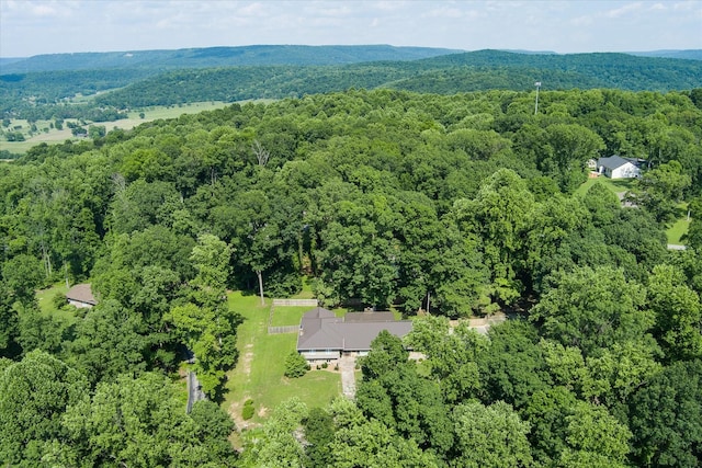 1009 Skyline Dr, Sparta, TN 38583 - photo 59