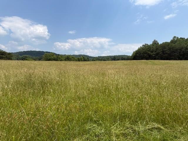 0 Horton Rd, Quebeck, TN 38579 - photo 9