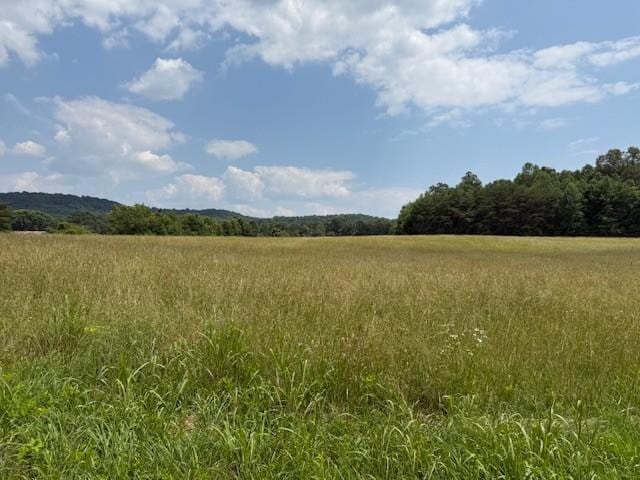 0 Horton Rd, Quebeck, TN 38579 - photo 12