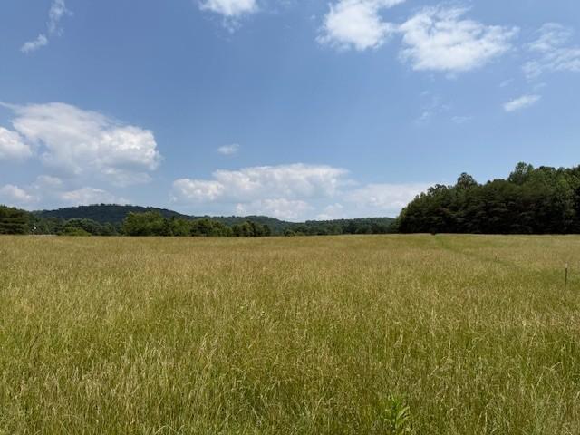 0 Horton Rd, Quebeck, TN 38579 - photo 15