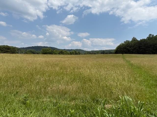 0 Horton Rd, Quebeck, TN 38579 - photo 11