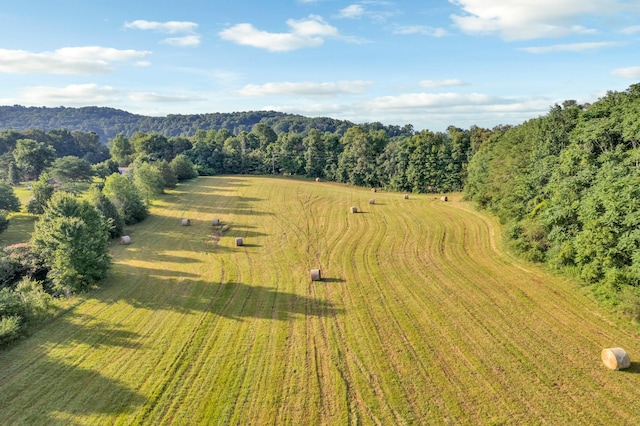 0 Horton Rd, Quebeck, TN 38579 - photo 7