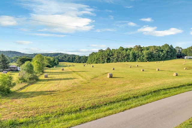 0 Horton Rd, Quebeck, TN 38579 - photo 4