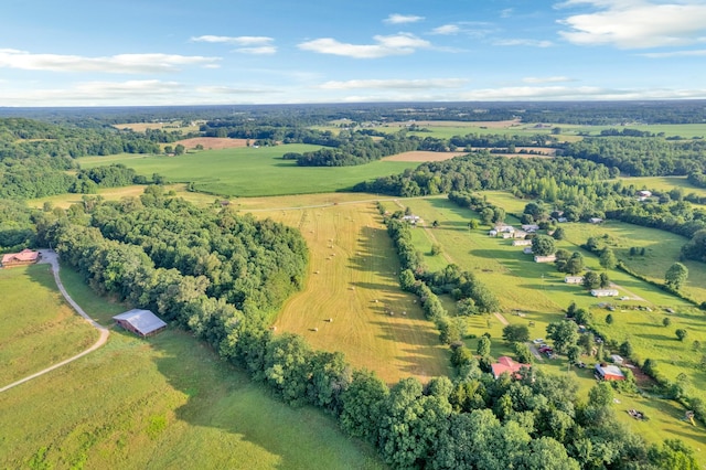 0 Horton Rd, Quebeck, TN 38579 - photo 3