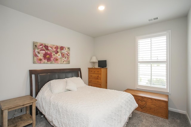 8023 Forest Hills Dr, Spring Hill, TN 37174 - bedroom with carpet, multiple windows, and baseboards