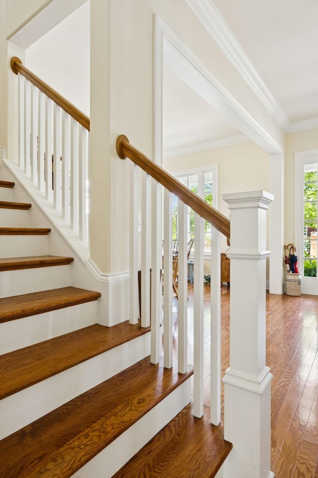 3007 General Martin Ln, Franklin, TN 37064 - stairway featuring crown molding and wood finished floors