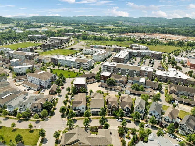 3007 General Martin Ln, Franklin, TN 37064 - bird's eye view