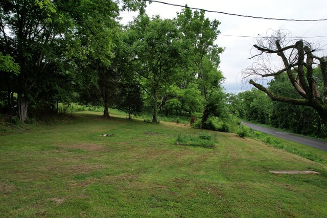 1650 E Beaverdam Rd, Centerville, TN 37033 - view of green lawn