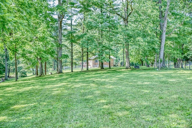 260 Fate Ivy Rd, Monterey, TN 38574 - view of yard