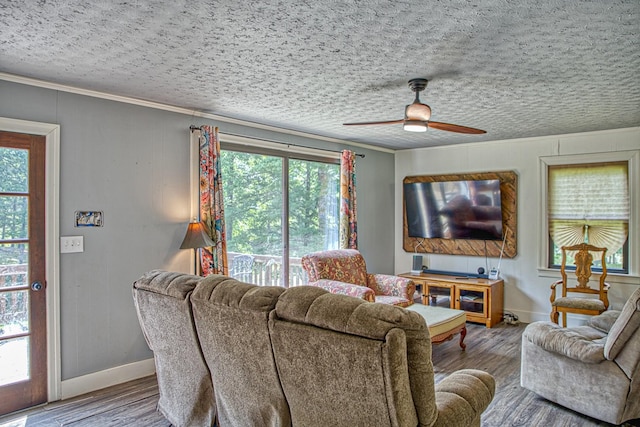 260 Fate Ivy Rd, Monterey, TN 38574 - living room with crown molding, wood finished floors, ceiling fan, baseboards, and a textured ceiling