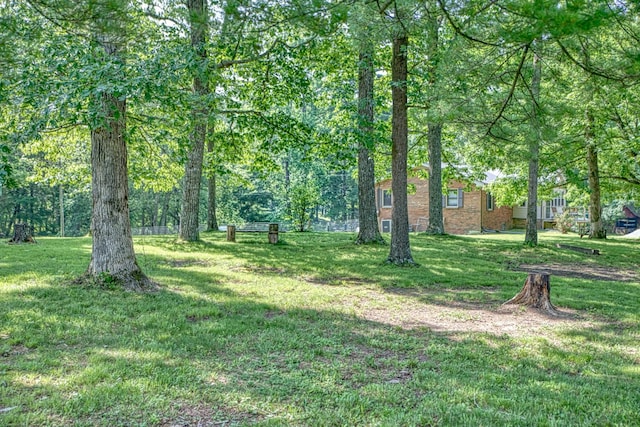 260 Fate Ivy Rd, Monterey, TN 38574 - view of grassy yard