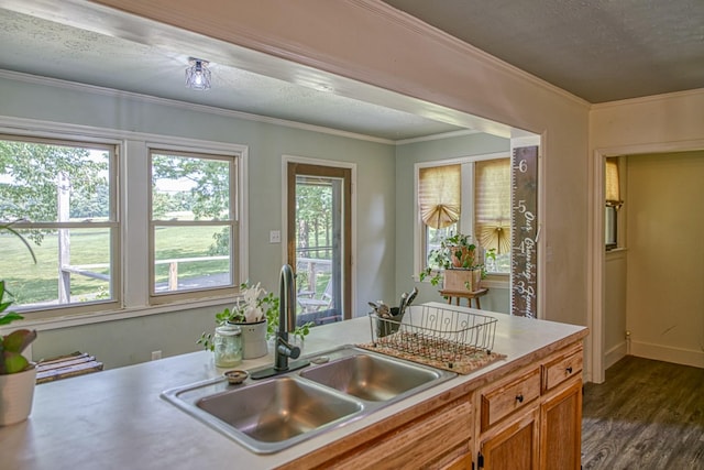 260 Fate Ivy Rd, Monterey, TN 38574 - kitchen with a sink, dark wood-style flooring, light countertops, a textured ceiling, and baseboards