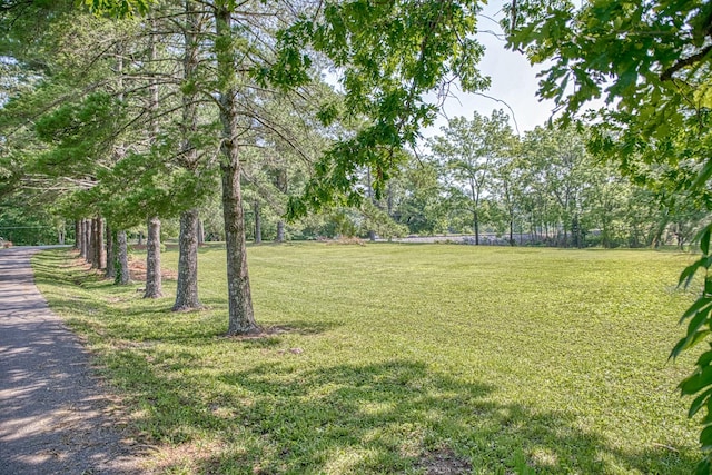260 Fate Ivy Rd, Monterey, TN 38574 - view of green lawn