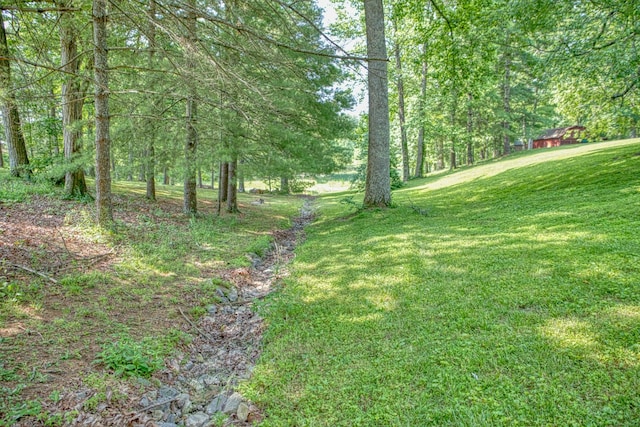 260 Fate Ivy Rd, Monterey, TN 38574 - view of green lawn featuring a view of trees