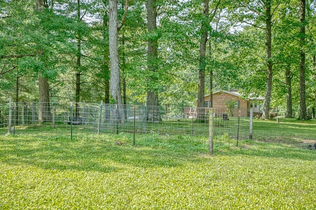 260 Fate Ivy Rd, Monterey, TN 38574 - view of yard
