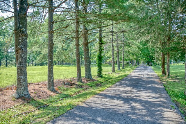 260 Fate Ivy Rd, Monterey, TN 38574 - view of property's community with a yard and driveway