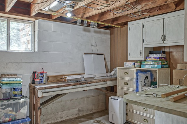 260 Fate Ivy Rd, Monterey, TN 38574 - view of basement