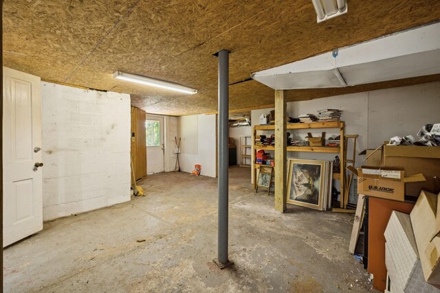 1319 Main St N, Carthage, TN 37030 - view of basement